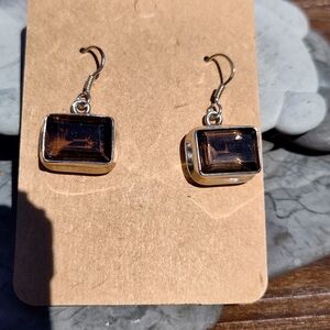 Elegant Silver and Brown Earrings